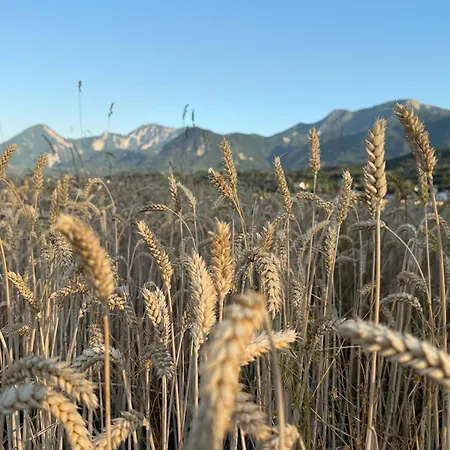 Dobernik Сasa de vacaciones *