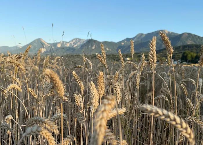 Dobernik Dom wakacyjny *